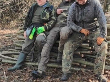 Działania w ramach czynnej ochrony pełnika europejskiego w PPK., 